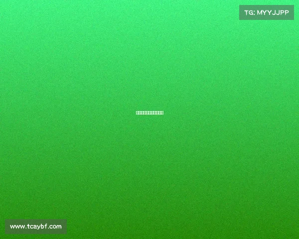 举办国际赛事的城市排名